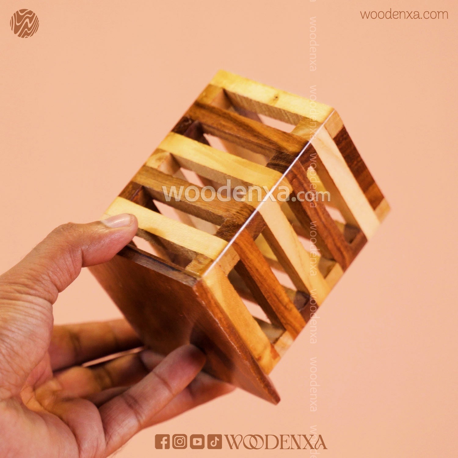 Wooden Multipurpose Pen Stand Holder Dual