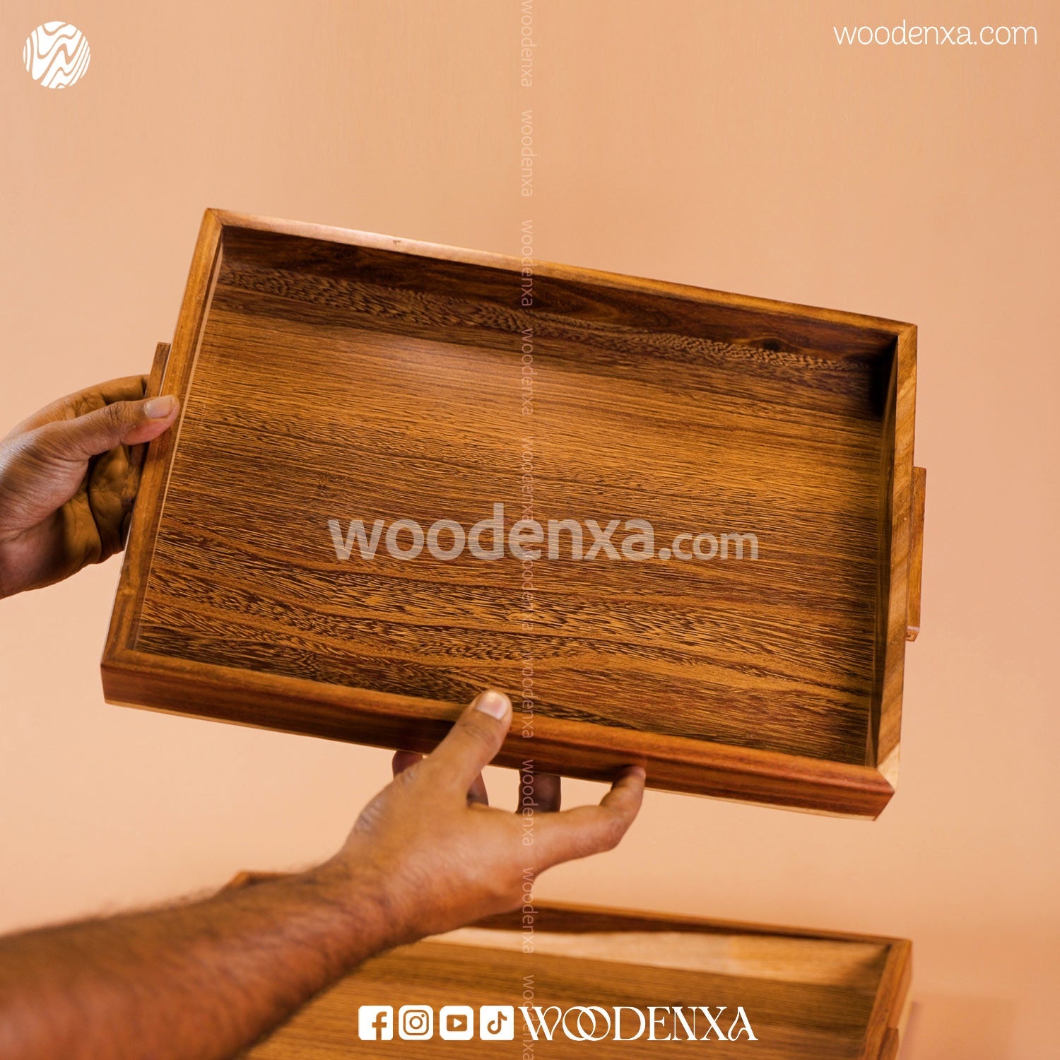 Sheesham Wooden Tray Set of 4