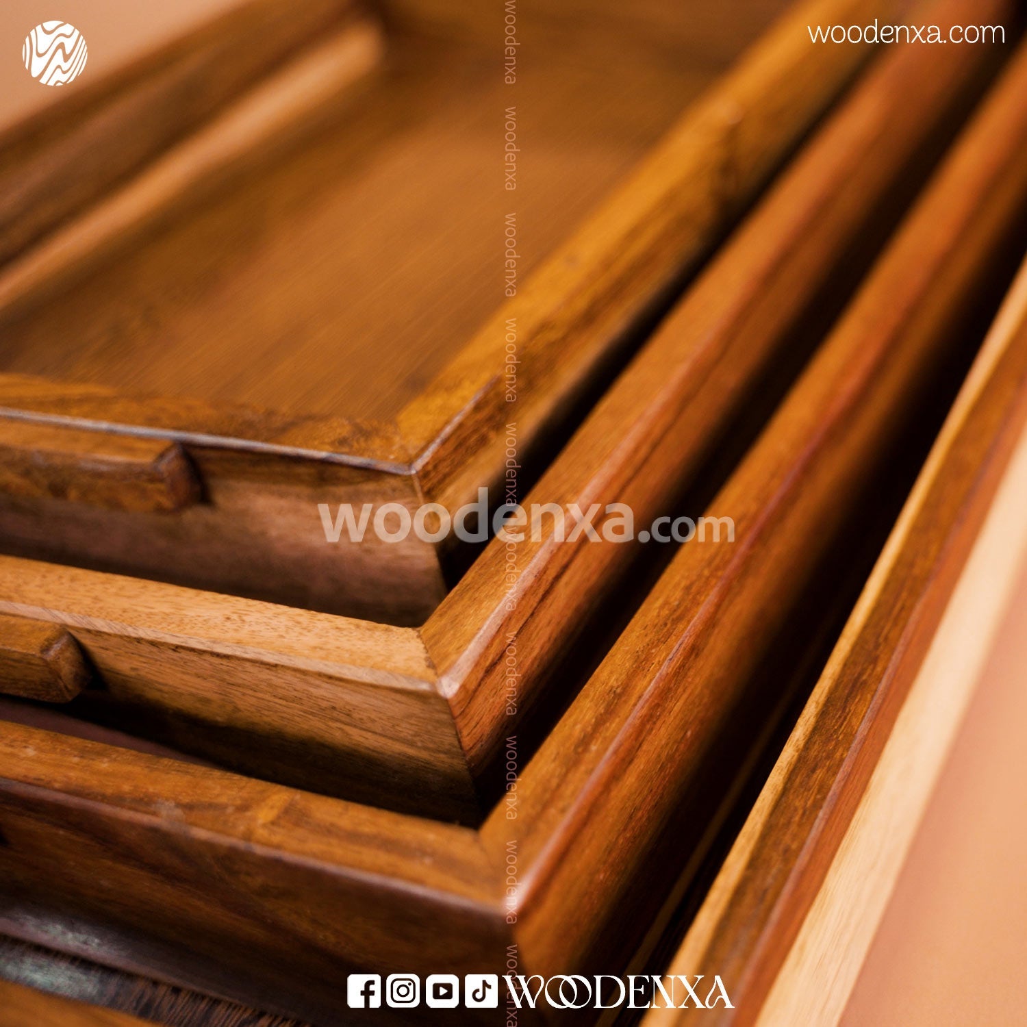 Sheesham Wooden Tray Set of 4