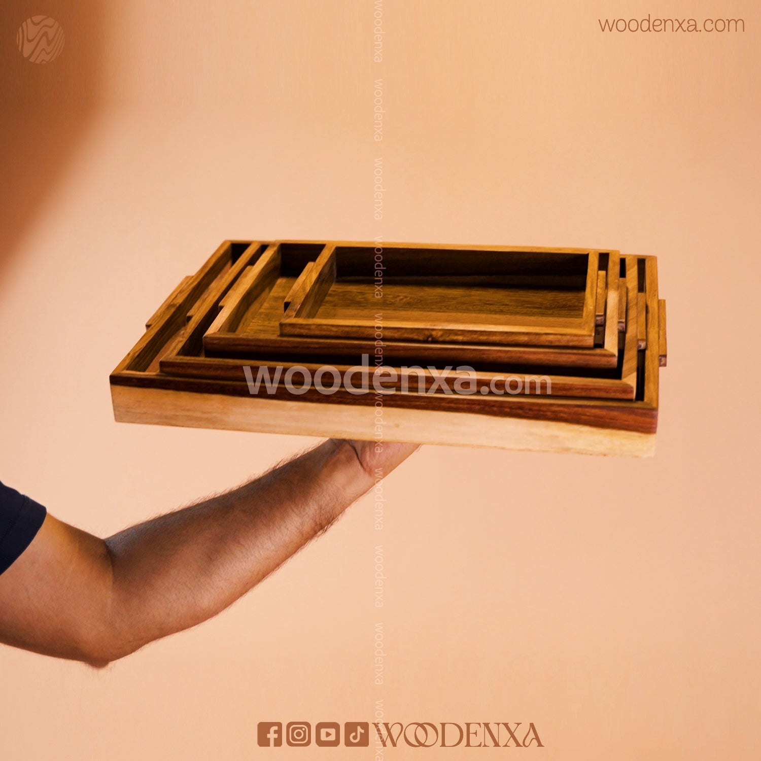 Sheesham Wooden Tray Set of 4